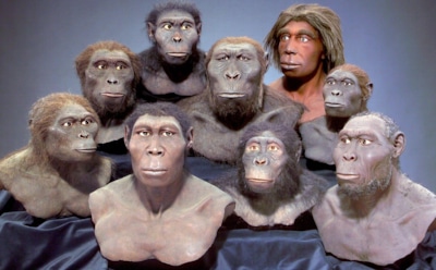 Пересмотр эволюционной теории: разные предки людей сосуществовали — следы прямоходящих и парантропов