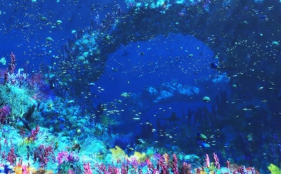 Кто обитает на дне океана, ученые не могут ответить: подводные «разговоры» у берегов Австралии — неизвестные собеседники