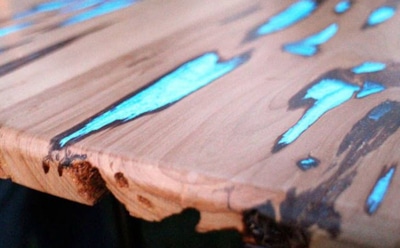 Грибы и наука: ученые создали светящуюся древесину — материал нового поколения