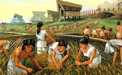 Земледельцы неолита: общество равенства и загадка их исчезновения — новые данные из Европы