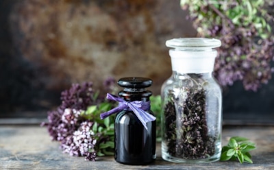 Растения на страже мозга: антиоксиданты из природных источников — открытие австралийских ученых