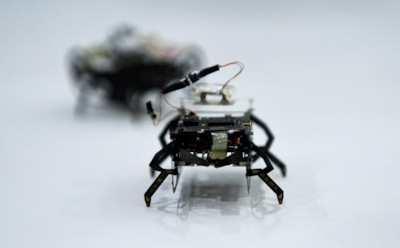 Бионический таракан из Китая: крохотный робот с уникальными возможностями — помощь спасателям и техникам