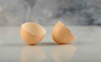 Яичная скорлупа — полезный ресурс: неожиданные способы применения — от здоровья до бытовых лайфхаков