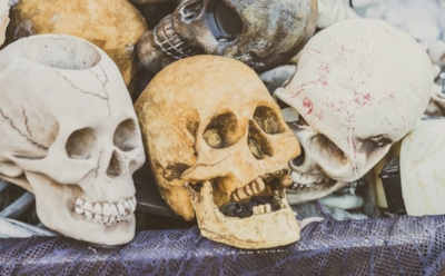 Древний ритуал из Италии: тайник с черепами предков — загадка эпохи каменного века