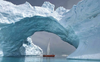 Микробы и пластик: экосистемы на отходах в Антарктиде — угроза и возможное решение