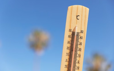 Карта климатической опасности: где жара растет быстрее всего — глобальные вызовы и решения