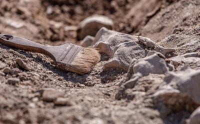 Технологический скачок древности: артефакты из Каталонии и миграция — прорыв идей произошел 900 тыс. лет назад