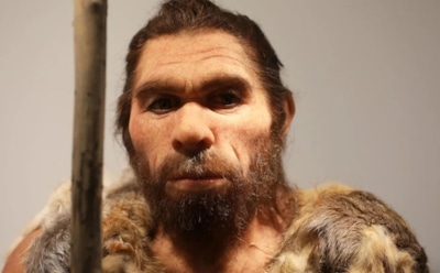 Такие истории любви не снились и Бразилии: древние останки раскрыли тайну сапиенсов — связь с неандертальцами