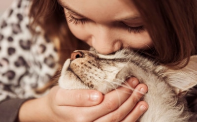 Просто такая усатая любовь: как кошки выражают нежные чувства — проявления привязанности