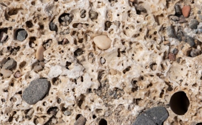 Костяной привет из прошлого: уникальная находка в Нидерландах — новые сведения о быте Средневековья