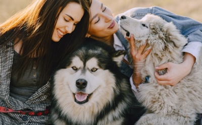 Ревность у животных: реакция на ожидания, а не чувство несправедливости — выводы ученых