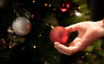 Елочный риск: новогоднее дерево способно скрывать опасность — комментарии терапевта