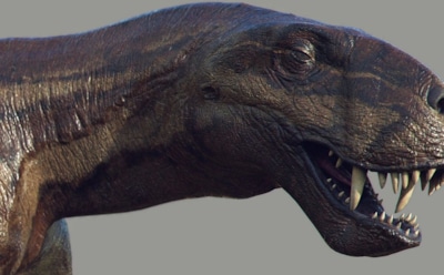 Следы горгонопса на Мальорке: древний предок млекопитающих — уникальная находка палеонтологов