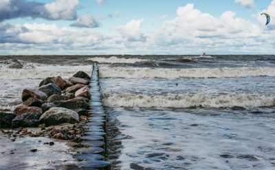 Балтийское море в опасности: кислородное голодание угрожает рыбе — бактерии захватывают глубины