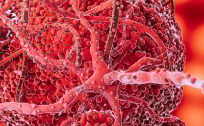 Революция в лечении рака: превращение опухолей в здоровые клетки — новая стратегия без побочных эффектов