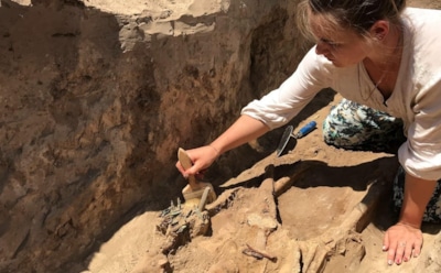 Клад римских солидов в Люксембурге: история императора Евгения — редкие монеты