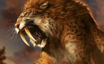 Это не ошибка — саблезубая улыбка: эволюция клыков хищников и травоядных — практичный подход природы