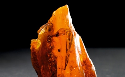 Редкий янтарь с иглами сосны: находка в Калининграде — возраст 50 млн лет