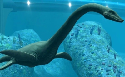 Морские монстры прошлого: хищники высшего уровня — находки в Центральной Колумбии