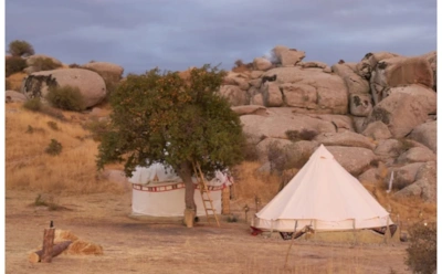 «Выжить в Самарканде. Битва сезонов»: знакомимся со всеми участниками шоу