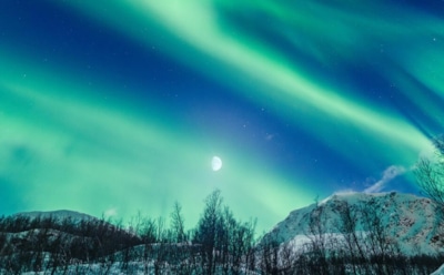 Тайна белых всполохов: полярное сияние и феномен STEVE — объяснение ученых