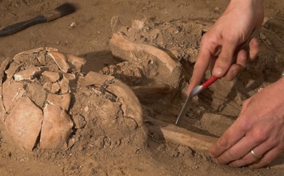 Секреты бронзового сосуда: археологи раскрыли тайну древнего вина — напиток с эпической выдержкой