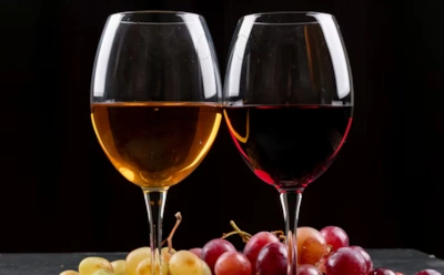 Польза вина и пива: растительное сырье и антиоксиданты — гастроэнтеролог о правильном подходе к потреблению