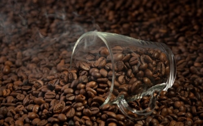 Кофеин и ложная бодрость: как кофе блокирует усталость — полезно знать любителям напитка