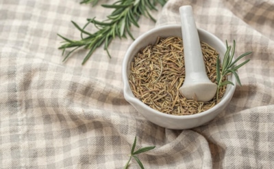 Прованские травы своими руками: секрет вкуса средиземноморской кухни — как приготовить знаменитую приправу