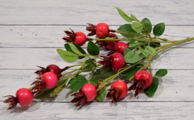 Шиповник защищает от рака: врач раскрыл его мощные свойства — антиоксиданты и витамины для здоровья