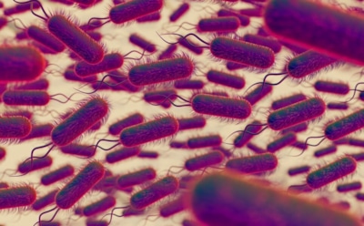 Сальмонелла выживает в морозе и пыли: врач объяснила, как защититься — главные правила безопасности