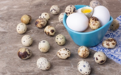 Перепелиные яйца полезнее куриных: витамины, энергия и мифы — разбор от эксперта