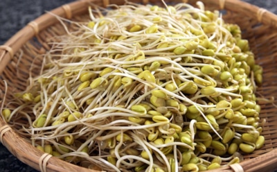 Ростки сои: как прорастить дома и использовать в блюдах — секреты корейской кухни