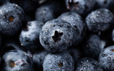Черника в рационе: польза, применение в кулинарии и мифы о здоровье — что важно знать