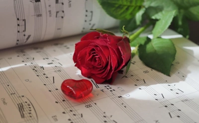 Сказка Уайльда «Соловей и роза»: характеристика главных героев