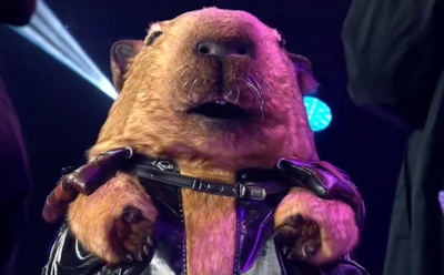 Милый Капибара, кто же ты? Угадываем личность участника нового сезона шоу «Маска»