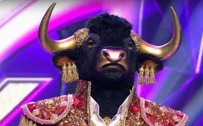 Мнения разделились: выясняем, кому досталась маска Быка на одноименном шоу