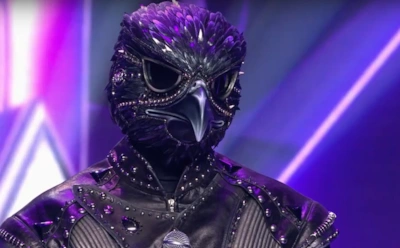 Кто же ты, Сокол? Предположения жюри и версии зрителей о личности участника «Маски» на НТВ