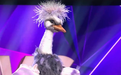 Кому досталась маска Страуса в одноименном шоу: версии зрителей и догадки жюри