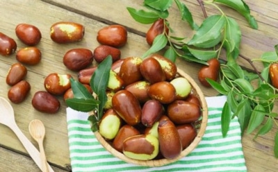 Китайский финик с уникальным вкусом: чем полезен зизифус — свойства, применение и противопоказания