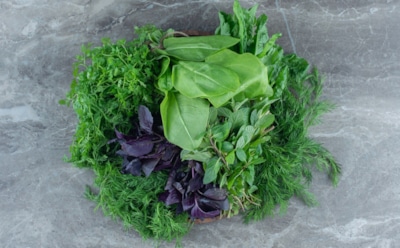 Почему весной нужно есть больше зелени: витамины, антиоксиданты и влияние на здоровье — рекомендации с пользой