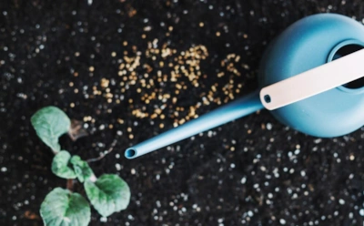 Удобрение из аптечки: как использовать глицин для улучшения роста растений и борьбы с болезнями