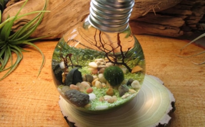 Не выбрасывайте старые лампочки: 10 идей, которые изменят ваш дом — вы обалдеете, ведь все гениальное просто