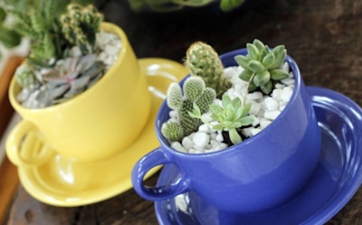 Не выбрасывайте старые кружки: эти 10 гениальных идей спасут ваше пространство и деньги