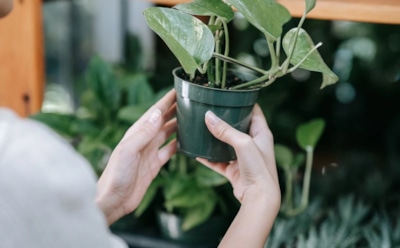 Эти 10 вещей сделают ваш дом уютным и комфортным: детали, которые изменят все