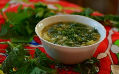 Забудьте про авитаминоз: вот таким должен быть настоящий весенний суп — запасайтесь крапивой, иначе не хватит