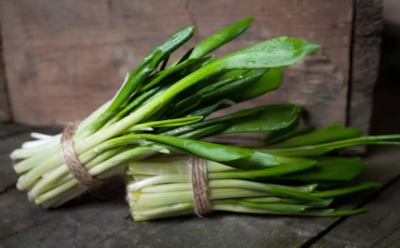 Медвежий лук в деле: чем полезна черемша, и как правильно ее использовать — попробуйте настоящий весенний суперфуд