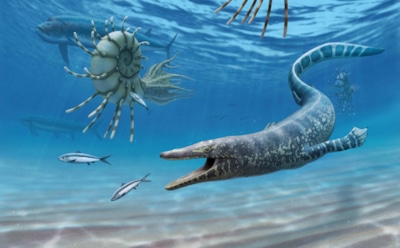 Португальский ихтиозавр шокировал науку: учеными обнаружен зубастый карлик из юрского периода — динозавр, который не дорос