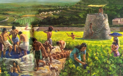 Древние фермеры против засухи: ученые выяснили, как 4000 лет назад спасали урожай без технологий — смекалка и наблюдательность