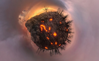 Апокалипсис на пороге: стало известно, насколько реальна угроза очередного вымирания — процесс оказался неспешным